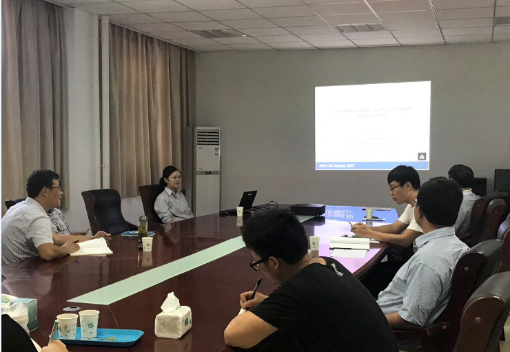 Shaped Nanoparticles: Synthesis, Properties, and Self-assembly